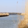 IMG_1685133