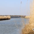 IMG_1685134