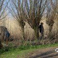 IMG_1685140