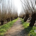 IMG_1685141