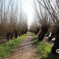 IMG_1685142