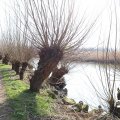 IMG_1685144