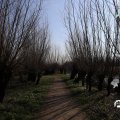 IMG_1685146