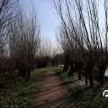 IMG_1685147