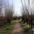 IMG_1685148