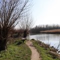 IMG_1685150