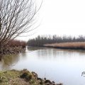 IMG_1685153