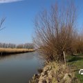 IMG_1685154