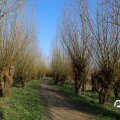 IMG_1685168