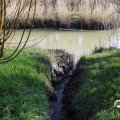 IMG_1685176