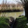 IMG_1685178