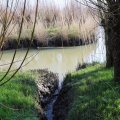 IMG_1685181