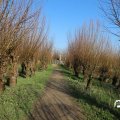 IMG_1685183