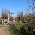 IMG_1685184