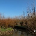 IMG_1685189