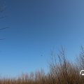 IMG_1685190
