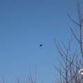 IMG_1685192