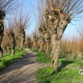 IMG_1685197