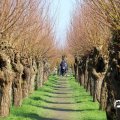 IMG_1685202