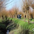 IMG_1685205
