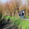 IMG_1685206