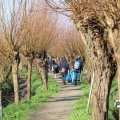 IMG_1685208