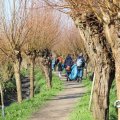 IMG_1685209