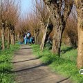 IMG_1685215