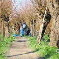 IMG_1685216