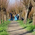 IMG_1685217