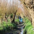 IMG_1685222