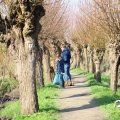 IMG_1685223