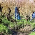 IMG_1685226