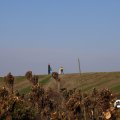 IMG_1685239
