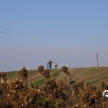 IMG_1685241
