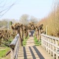 IMG_1685253