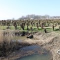 IMG_1685254