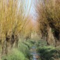 IMG_1685264