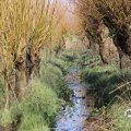 IMG_1685266