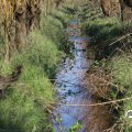 IMG_1685267