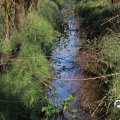 IMG_1685268