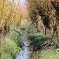 IMG_1685272