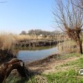 IMG_1685277