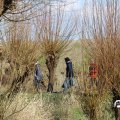 IMG_1685279