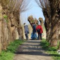 IMG_1685284
