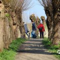 IMG_1685285