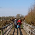 IMG_1685286