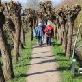 IMG_1685288