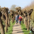 IMG_1685289