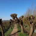 IMG_1685290